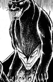Panther Zora