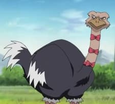 Condor