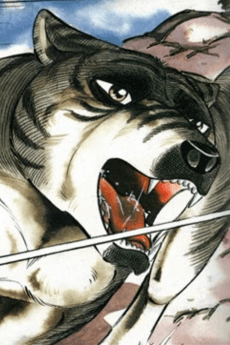 Kagetora