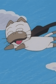 Sushi Neko