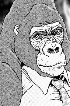 Gorilla Gorilla Gorilla