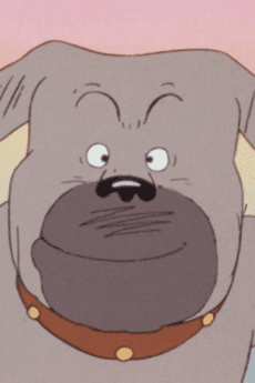 Don Matsugorou