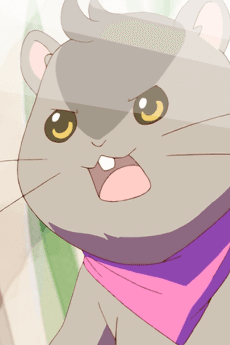 Hamster