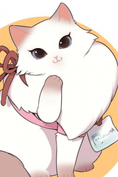 Kaori