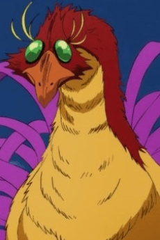 Phoenix Otoko