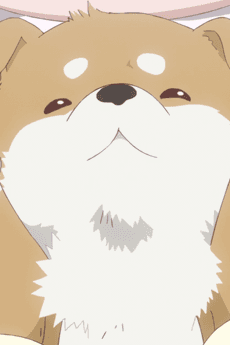 Koinu