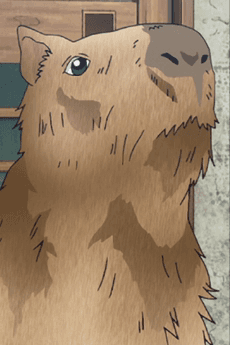 Capybara