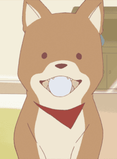 Pochi