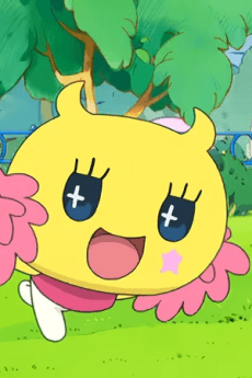 Pompomtchi