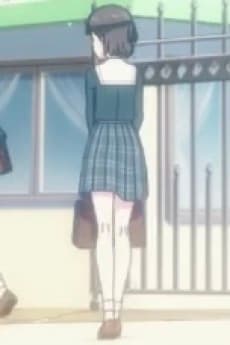 Seito B