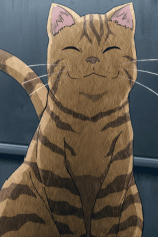 Neko Villain