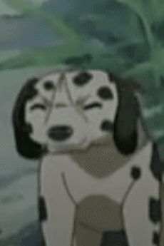 Koinu