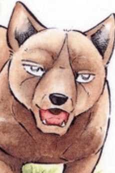 Rara