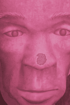 Jinmenju