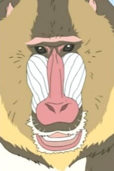 Mandrill