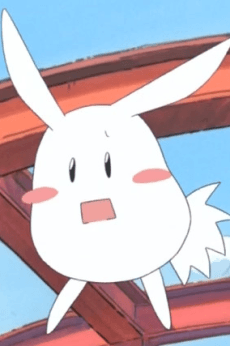 Pikota