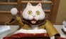 Kotatsu Neko