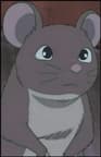 Taata