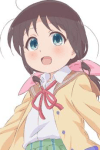 Tamaki Honda