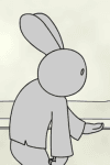 Gray Rabbit
