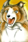 Lassie