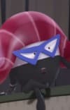 Maguro