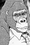 Gorilla Gorilla Gorilla