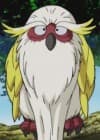 Toki Toki