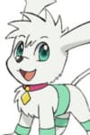 Roko