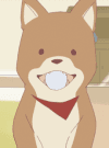 Pochi