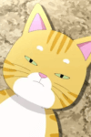 Kim Meowmeow
