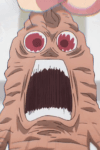Mandragora