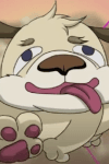 Inu