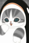 Shachi Nyan