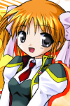 Apricot Sakuraba