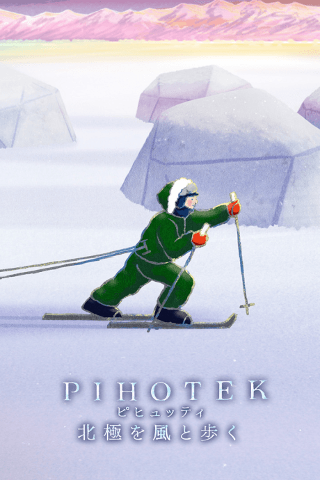 PIHOTEK