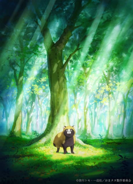 Omae, Tanuki ni Naranee ka?