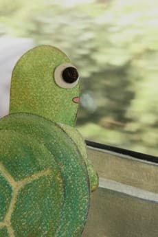 Turtle's Stroll