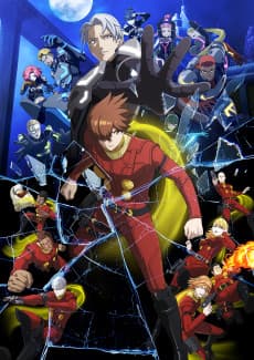 Cyborg 009: Nemesis
