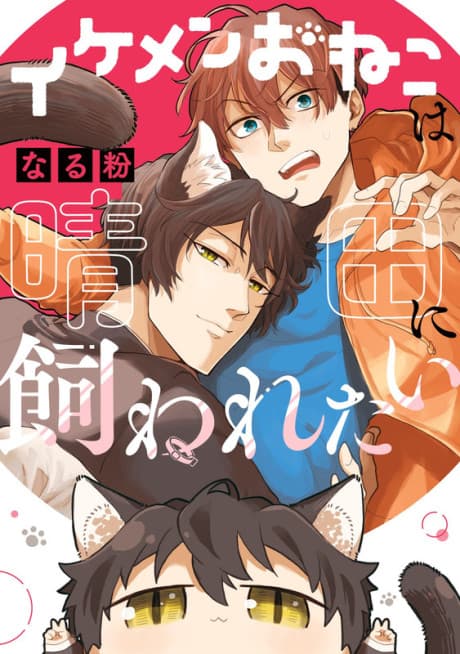 The Handsome Catboy Wants to be His Pet