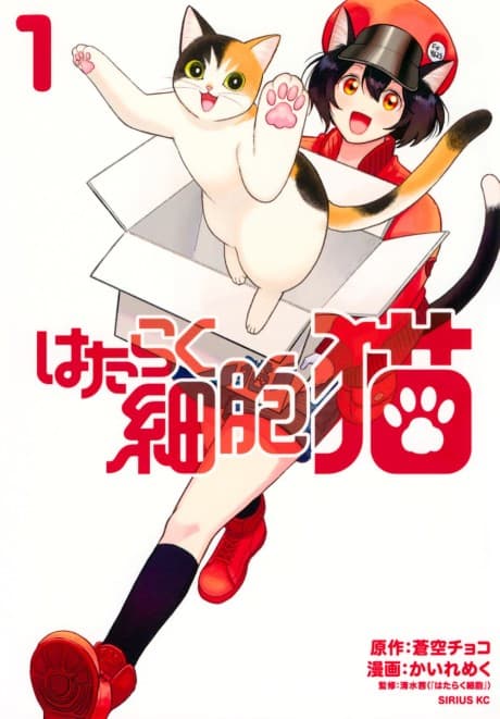 Cells at Work! Cat