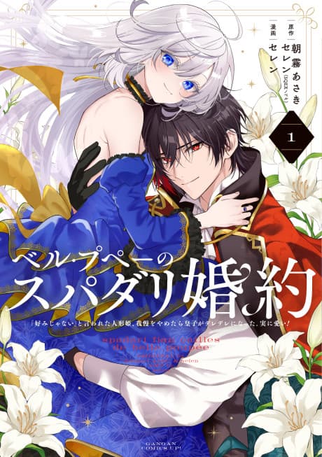 The Princess Groom